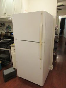 Ice World Direct Cool Refrigerator